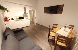 Casa cu SAD, cocheta, de 200 mp utili, D+P, cocheta, zona Lipovei