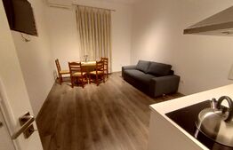 Casa cu SAD, cocheta, de 200 mp utili, D+P, cocheta, zona Lipovei