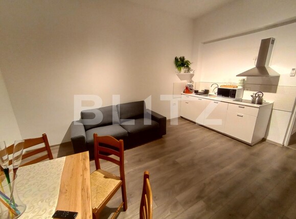 Spațiu comercial de închiriat Lipovei - 137262SIC | BLITZ Timișoara | Poza2