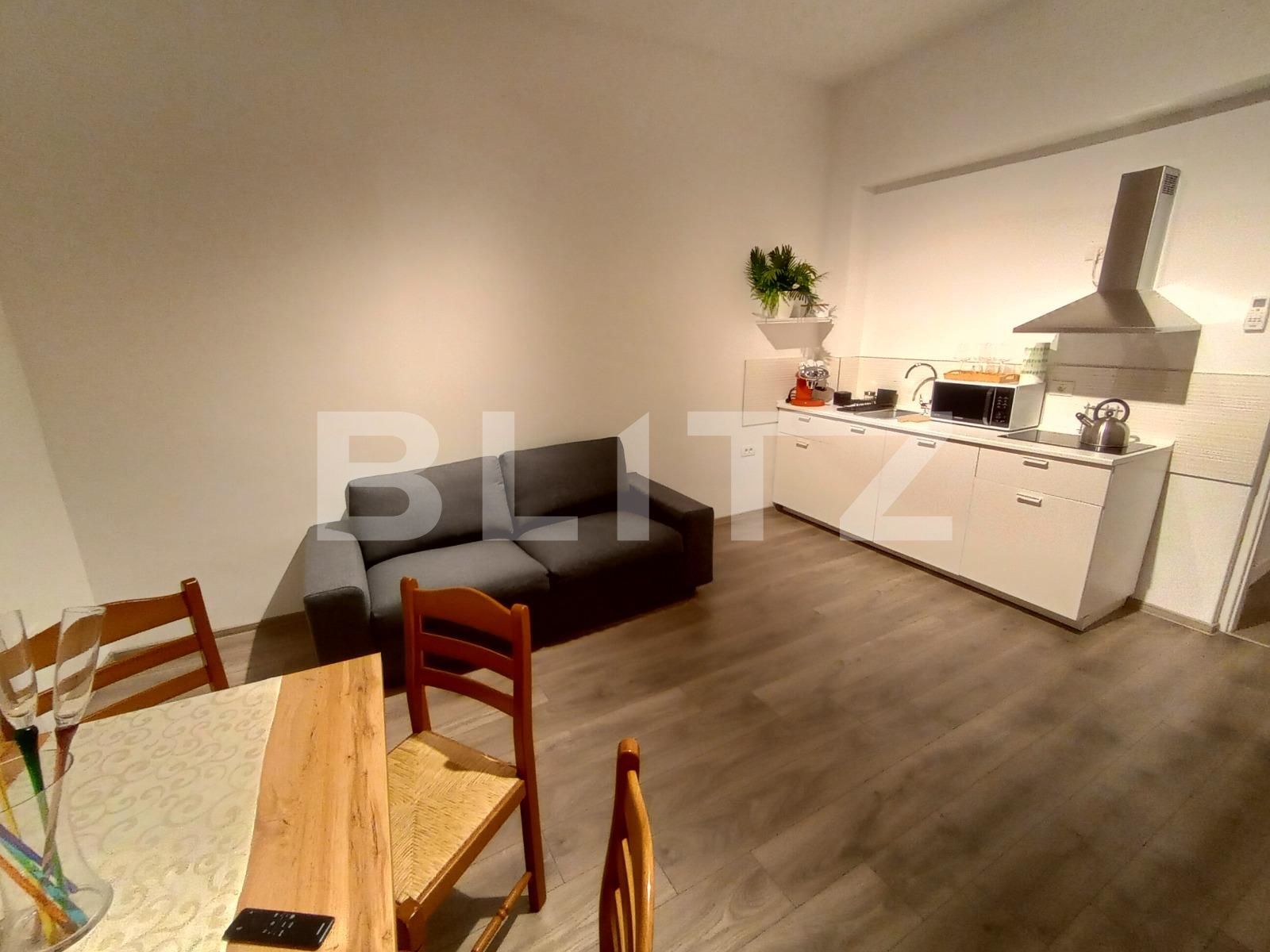 Spațiu comercial de închiriat Lipovei - 137262SIC | BLITZ Timișoara | Poza2