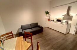 Casa de inchiriat(SAD), cu doua apartamente, 150mp utili, cocheta, in Lipovei