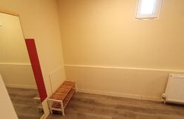 Casa de inchiriat(SAD), cu doua apartamente, 150mp utili, cocheta, in Lipovei