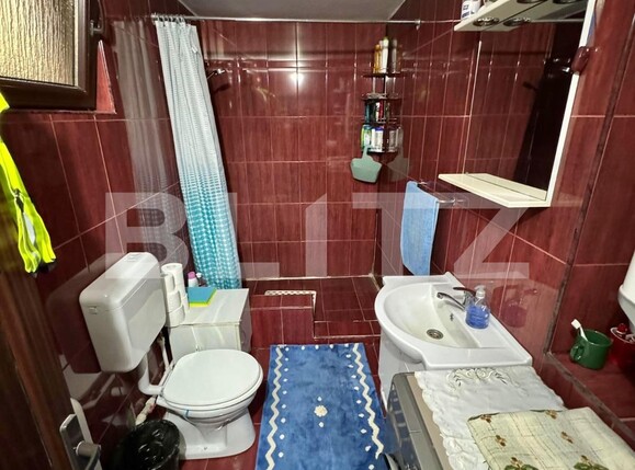 Casa de vânzare 3 camere Exterior Vest - 137347CV | BLITZ Timișoara | Poza7