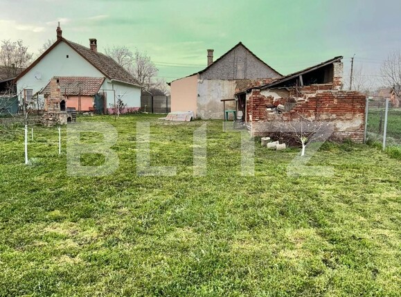 Casa de vânzare 3 camere Exterior Vest - 137347CV | BLITZ Timișoara | Poza5