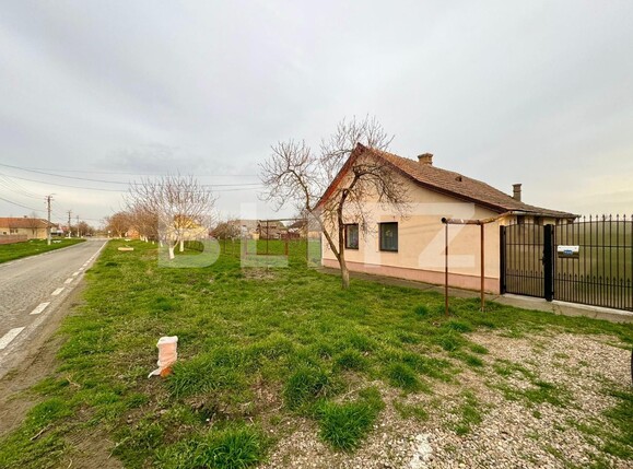 Casa de vânzare 3 camere Exterior Vest - 137347CV | BLITZ Timișoara | Poza14