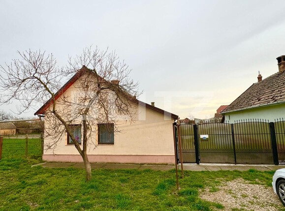 Casa de vânzare 3 camere Exterior Vest - 137347CV | BLITZ Timișoara | Poza13