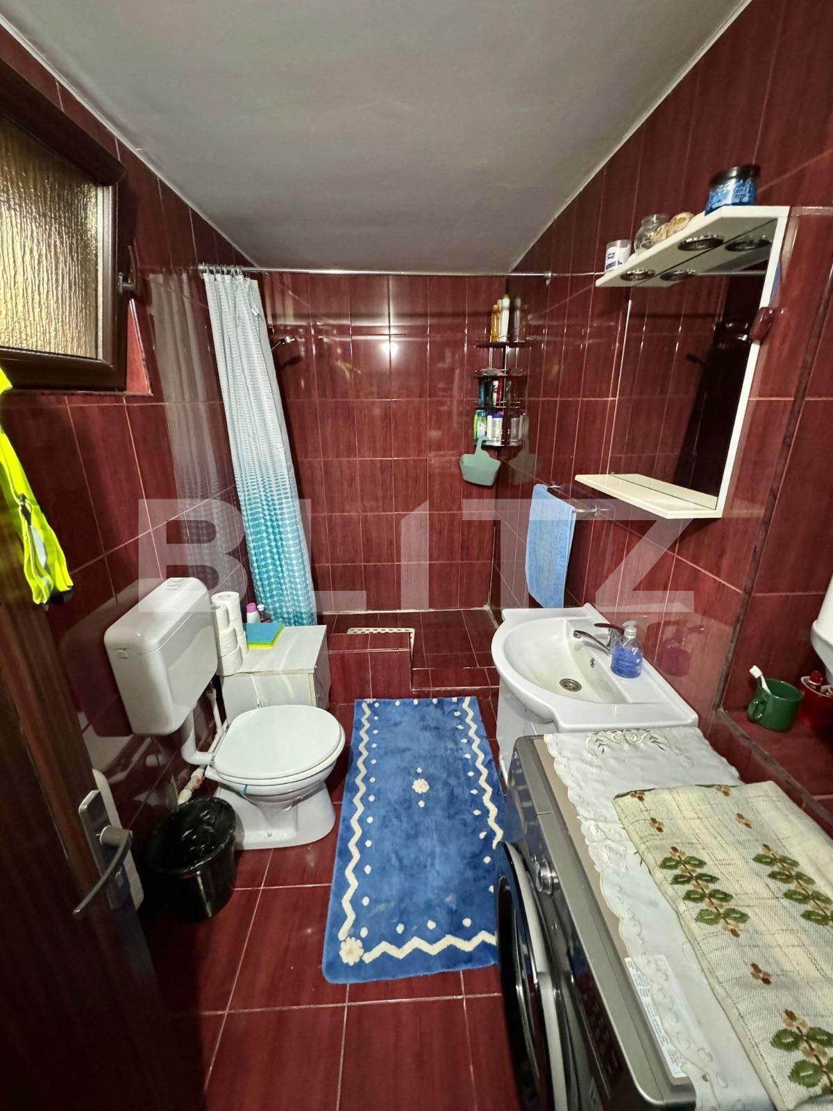 Casa de vânzare 3 camere Exterior Vest - 137347CV | BLITZ Timișoara | Poza7