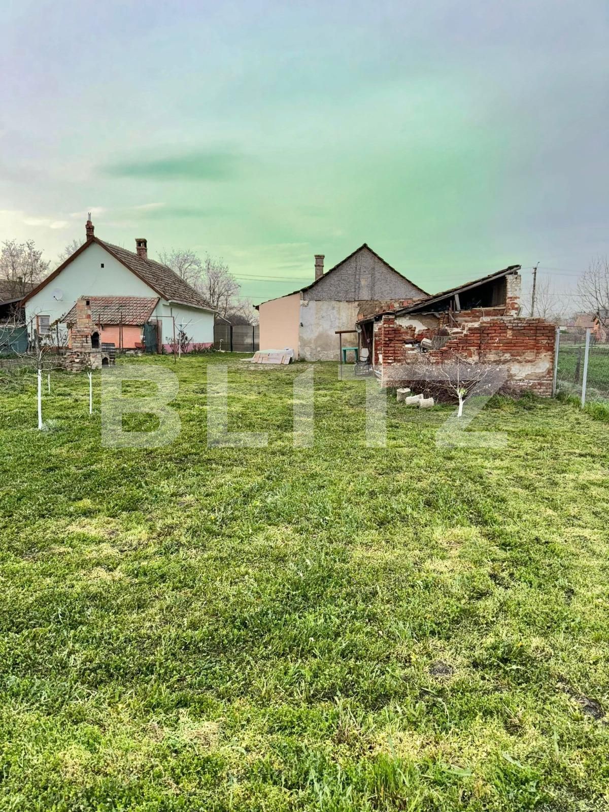 Casa de vânzare 3 camere Exterior Vest - 137347CV | BLITZ Timișoara | Poza5