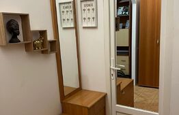 Apartament 2 camere, 33mp, Etaj Intermediar, Blascovici