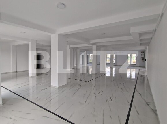 Spațiu comercial de închiriat Dumbravita - 137732SIC | BLITZ Timișoara | Poza2