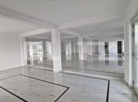 Spațiu comercial de închiriat Dumbravita - 137732SIC | BLITZ Timișoara | Poza3