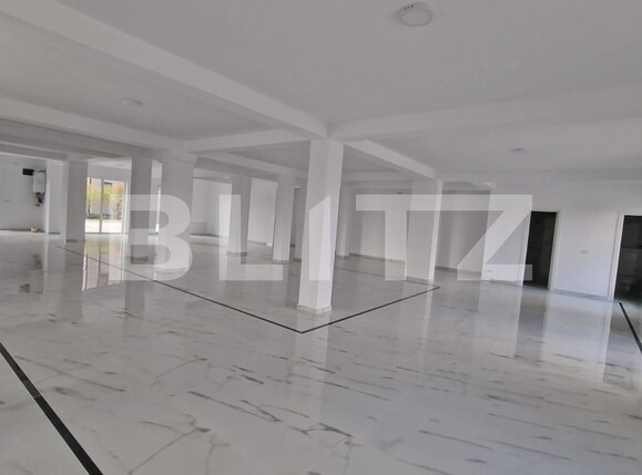 Spațiu comercial de închiriat Dumbravita - 137732SIC | BLITZ Timișoara | Poza1