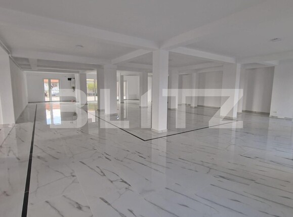 Spațiu comercial de închiriat Dumbravita - 137732SIC | BLITZ Timișoara | Poza4