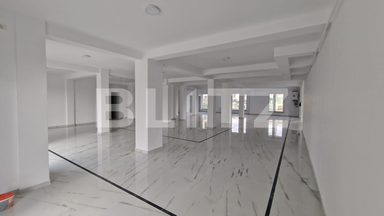 Spațiu comercial de închiriat Dumbravita - 137732SIC | BLITZ Timișoara | Poza2