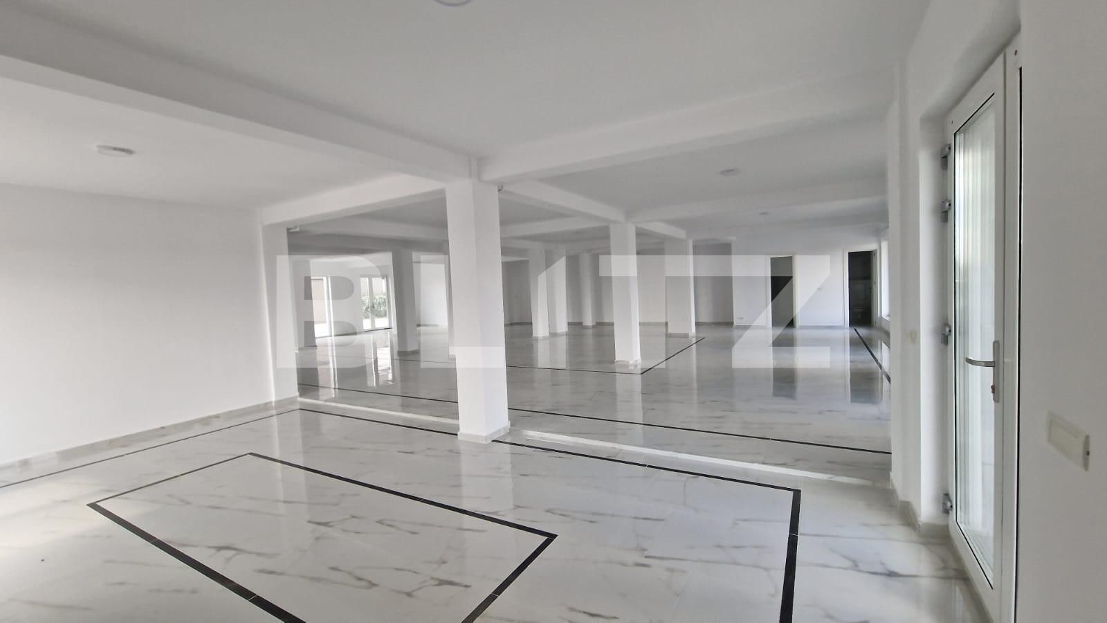 Spațiu comercial de închiriat Dumbravita - 137732SIC | BLITZ Timișoara | Poza3