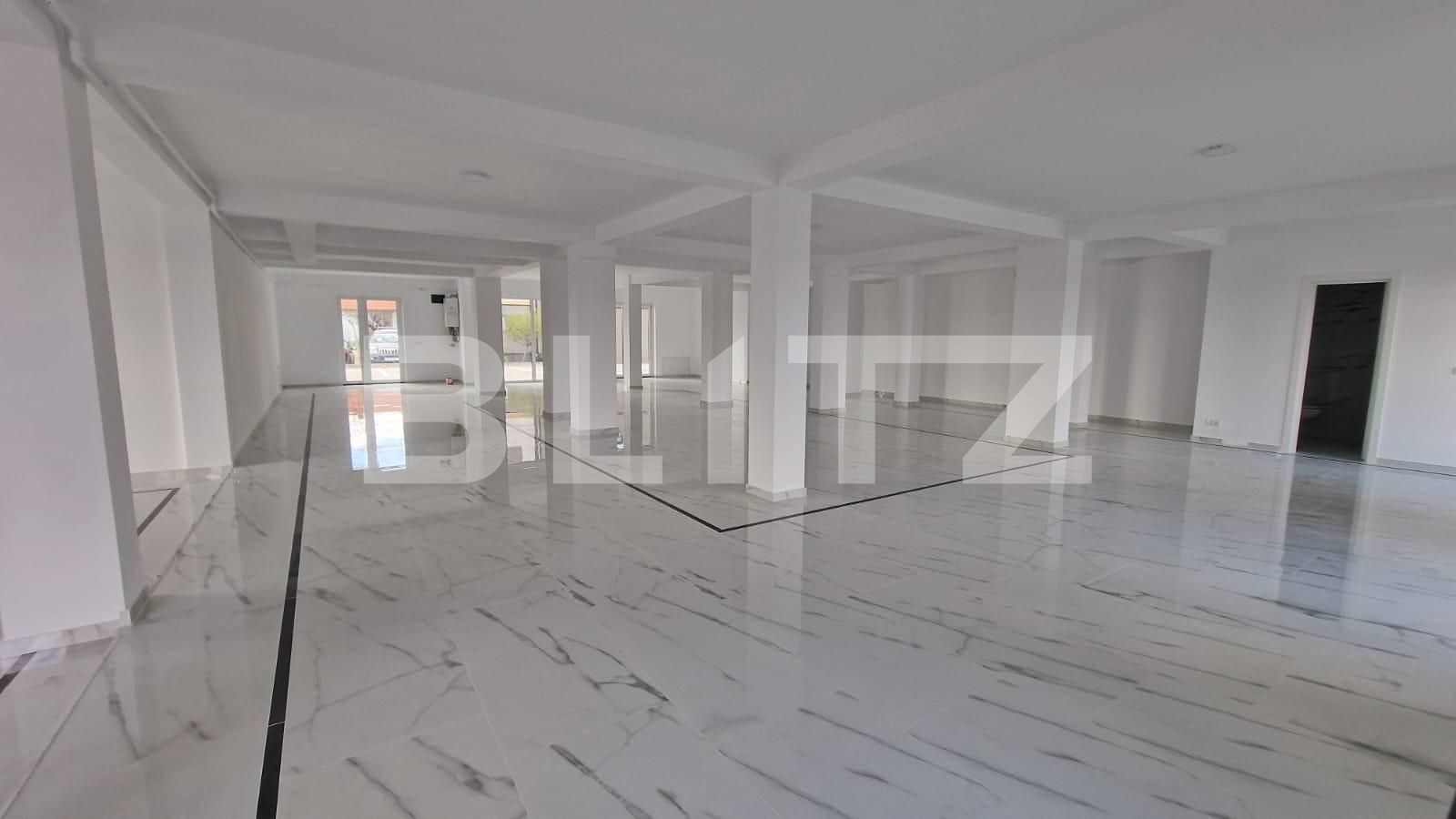 Spațiu comercial de închiriat Dumbravita - 137732SIC | BLITZ Timișoara | Poza4