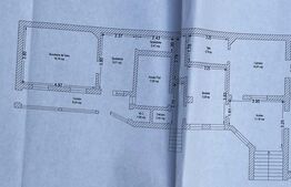 Casa istorica, 380 mp utili, teren 920, cu doua beciuri si acces auto in curte