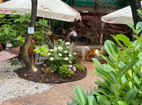 Spațiu comercial de vânzare Gheorghe Lazar - 137873SVC | BLITZ Timișoara | Poza1