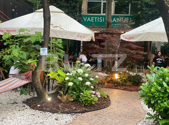 Spațiu comercial de vânzare Gheorghe Lazar - 137873SVC | BLITZ Timișoara | Poza2