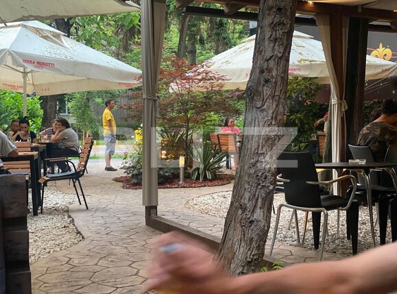 Spațiu comercial de vânzare Gheorghe Lazar - 137873SVC | BLITZ Timișoara | Poza5