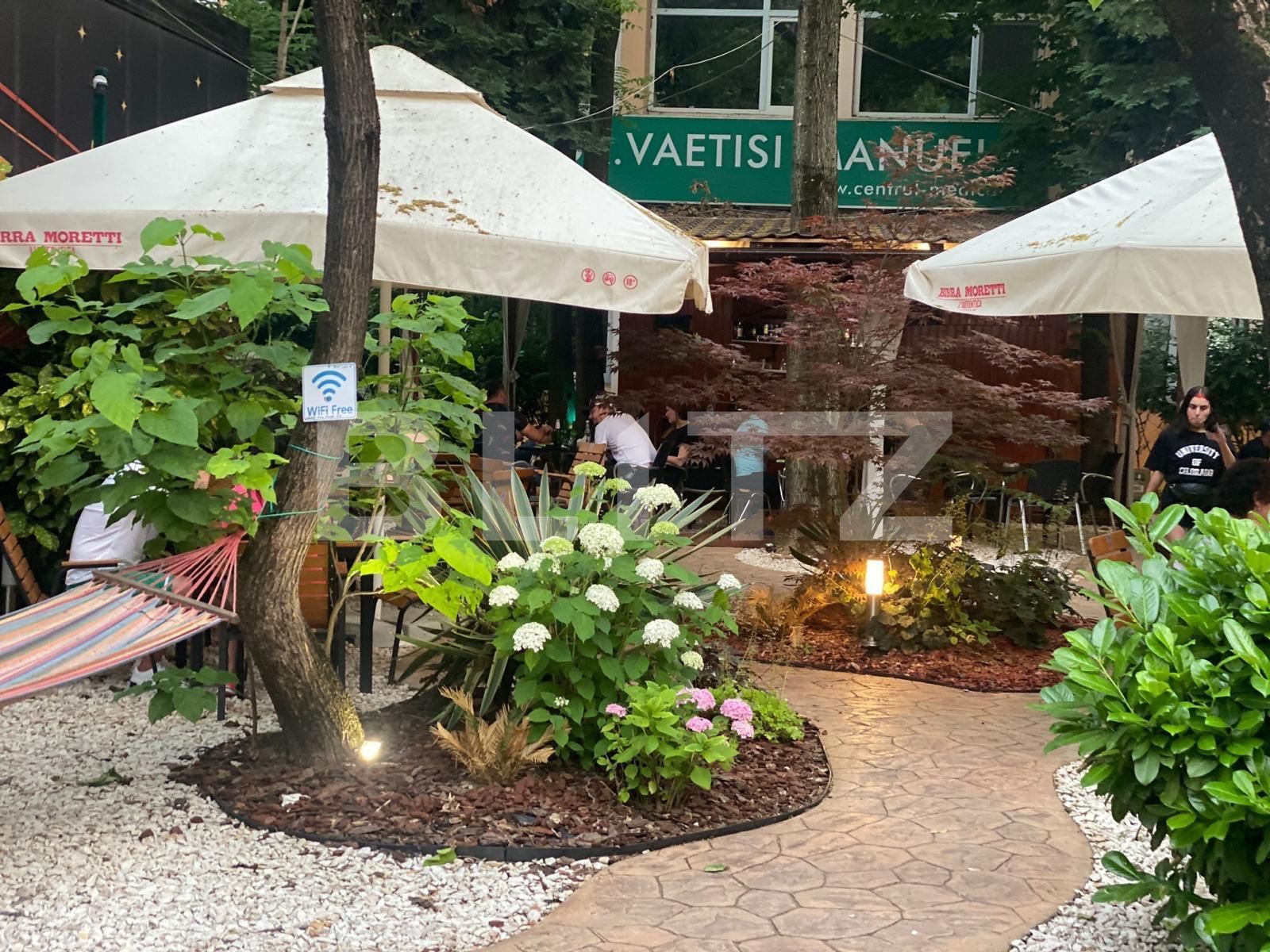 Spațiu comercial de vânzare Gheorghe Lazar - 137873SVC | BLITZ Timișoara | Poza2