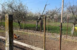 Teren de vanzare 1850 mp front de 20, Sanandrei!