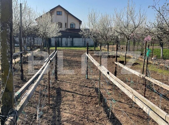 Teren de vânzare Sânandrei - 137876TV | BLITZ Timișoara | Poza3