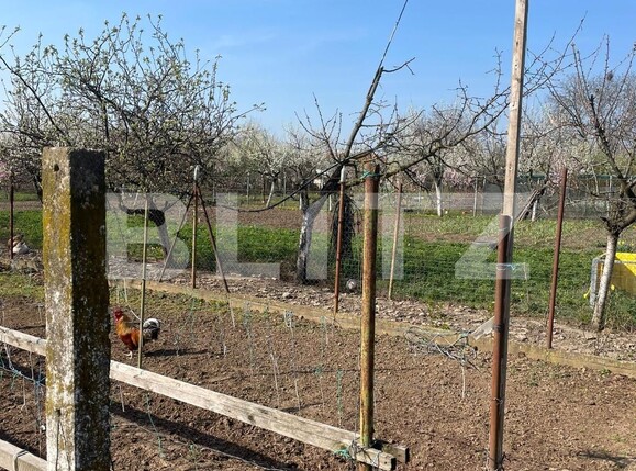 Teren de vânzare Sânandrei - 137876TV | BLITZ Timișoara | Poza4