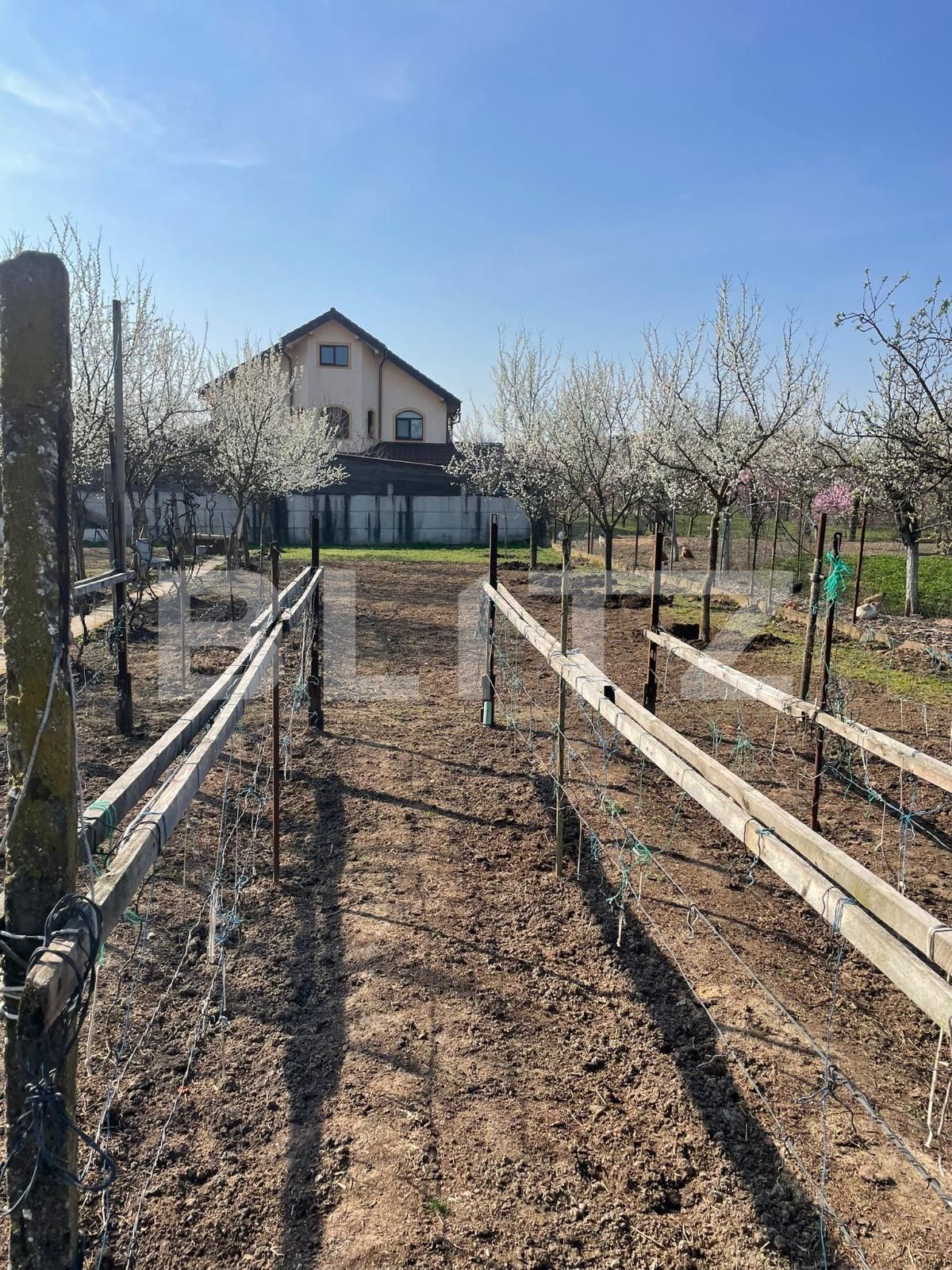 Teren de vânzare Sânandrei - 137876TV | BLITZ Timișoara | Poza3