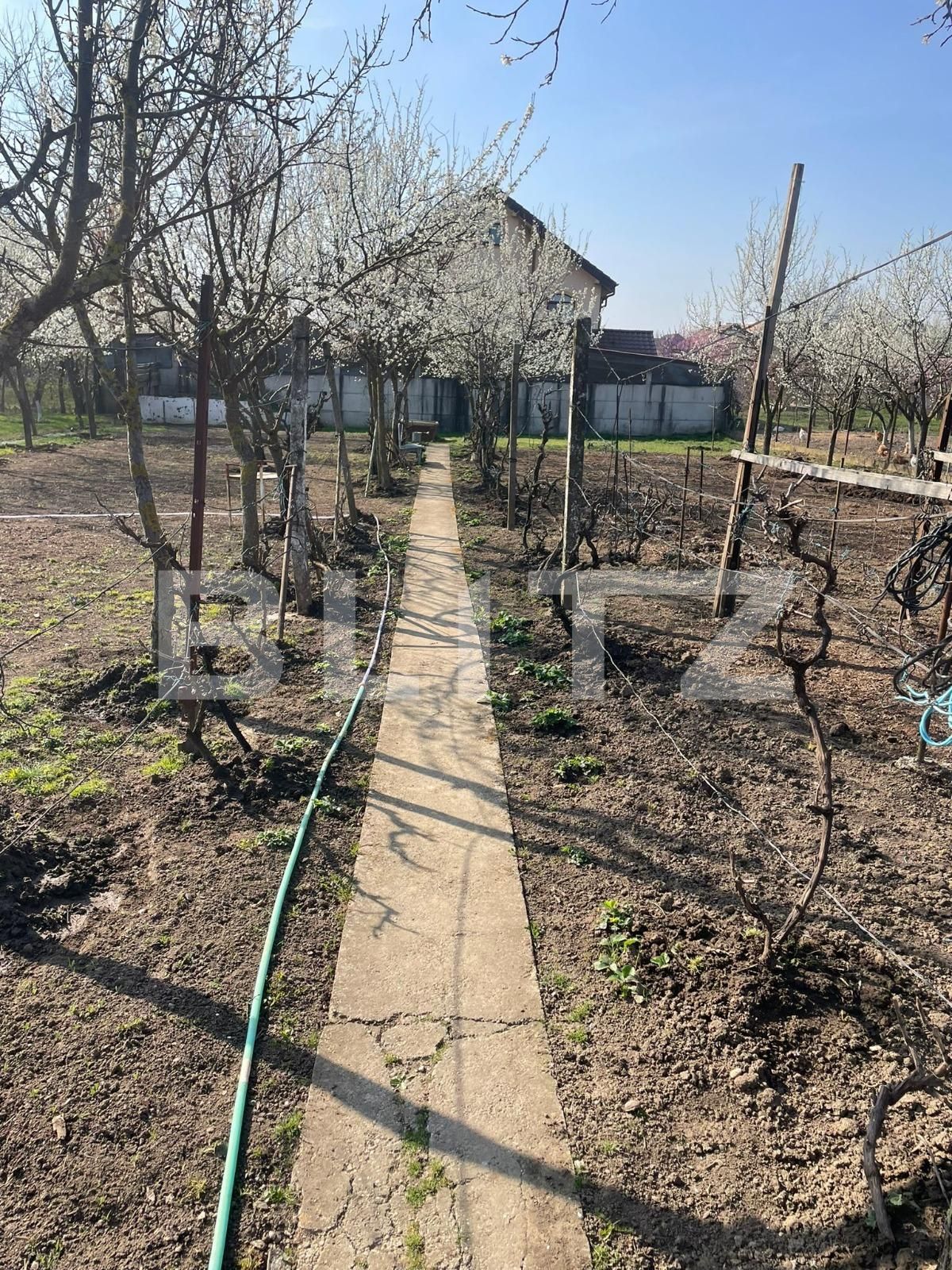 Teren de vânzare Sânandrei - 137876TV | BLITZ Timișoara | Poza1