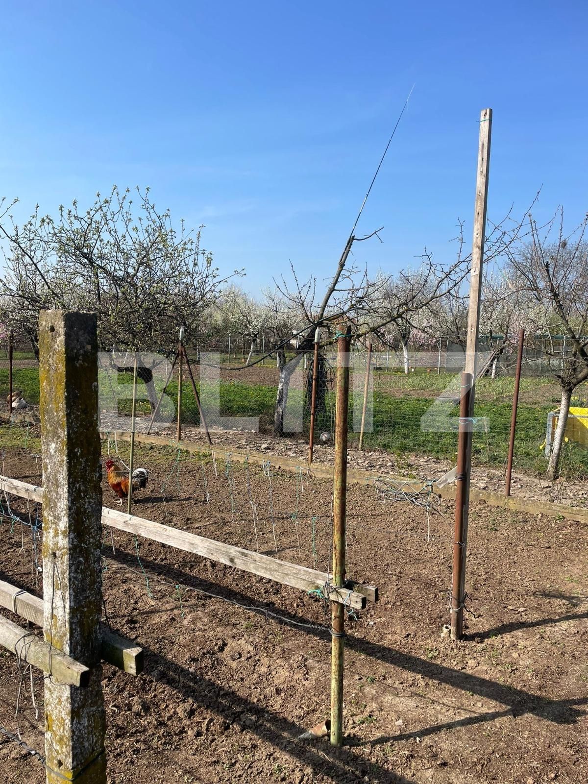 Teren de vânzare Sânandrei - 137876TV | BLITZ Timișoara | Poza4