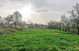 Casă individuala, 3 camere, Su = 82 mp, St = 1409 mp, zona Albina