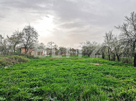 Casa de vânzare 3 camere Mosnita Noua - 138075CV | BLITZ Timișoara | Poza9