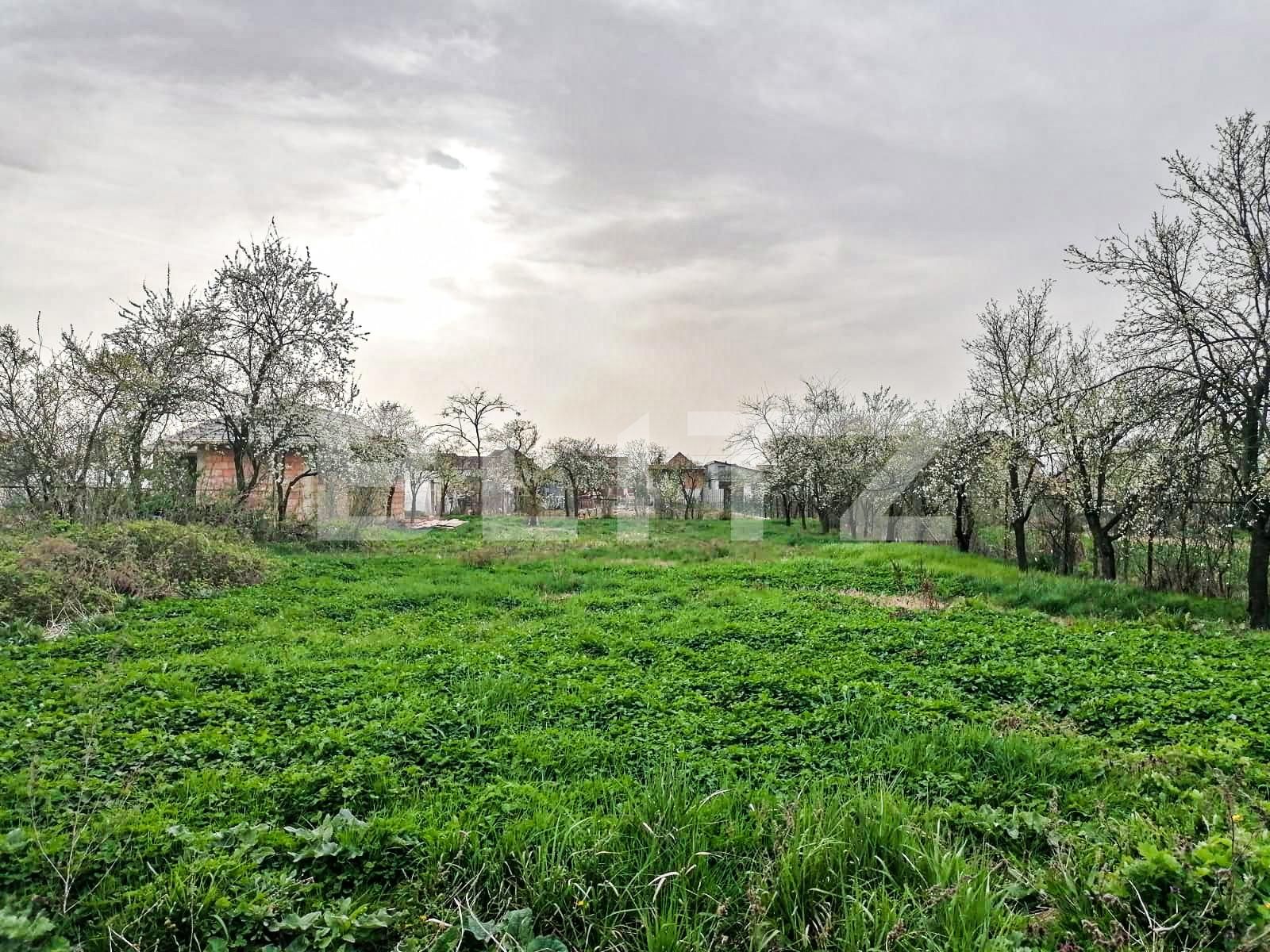 Casa de vânzare 3 camere Mosnita Noua - 138075CV | BLITZ Timișoara | Poza9