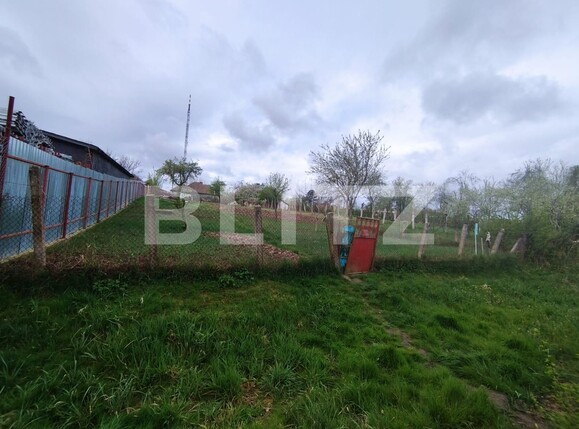 Casa de vânzare 5 camere Calea Urseni - 138323CV | BLITZ Timișoara | Poza1