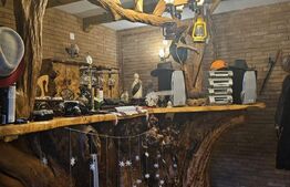 Casa individuala, 7 camere 3500 mp teren, zona exterior EST