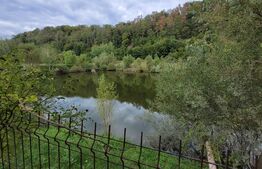 Casa individuala, 7 camere 3500 mp teren, zona exterior EST