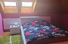 Casa individuala, 7 camere 3500 mp teren, zona exterior EST