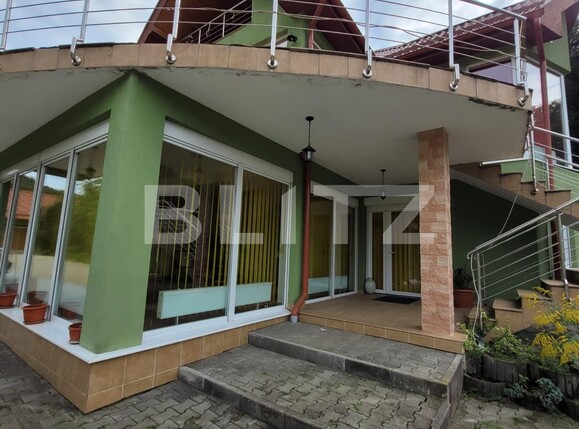 Casa de vânzare 7 camere Exterior Est - 138378CV | BLITZ Timișoara | Poza4