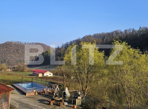 Casa de vânzare 7 camere Exterior Est - 138378CV | BLITZ Timișoara | Poza5