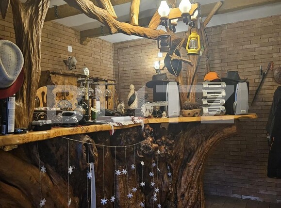 Casa de vânzare 7 camere Exterior Est - 138378CV | BLITZ Timișoara | Poza9