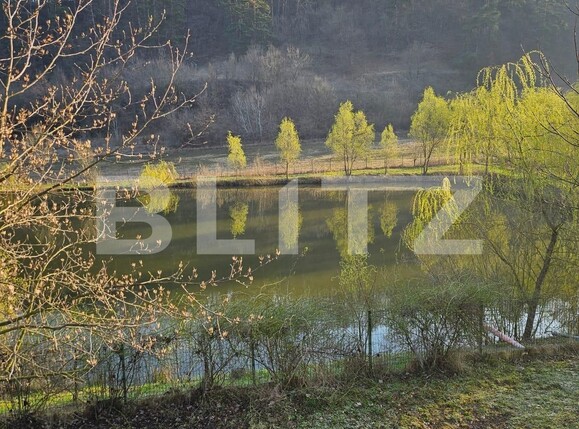 Casa de vânzare 7 camere Exterior Est - 138378CV | BLITZ Timișoara | Poza7