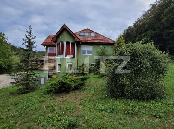 Casa de vânzare 7 camere Exterior Est - 138378CV | BLITZ Timișoara | Poza1