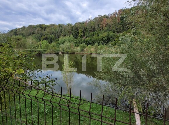 Casa de vânzare 7 camere Exterior Est - 138378CV | BLITZ Timișoara | Poza2