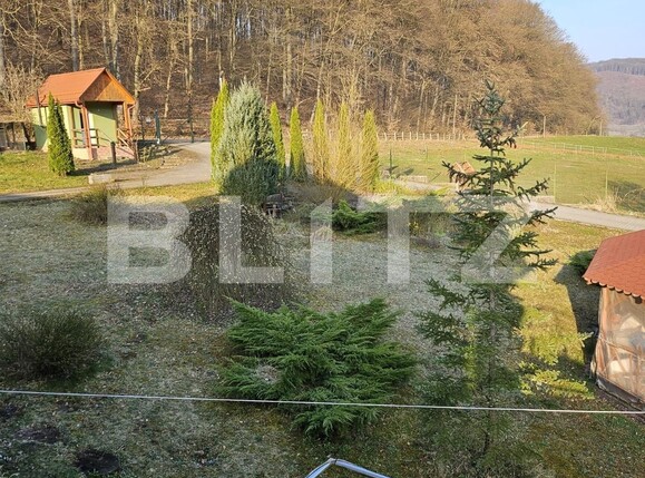 Casa de vânzare 7 camere Exterior Est - 138378CV | BLITZ Timișoara | Poza16