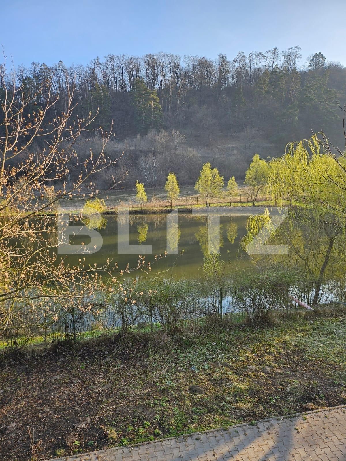 Casa de vânzare 7 camere Exterior Est - 138378CV | BLITZ Timișoara | Poza7