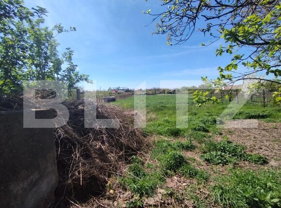 Casa de vânzare 3 camere Exterior Nord - 138591CV | BLITZ Timișoara | Poza12