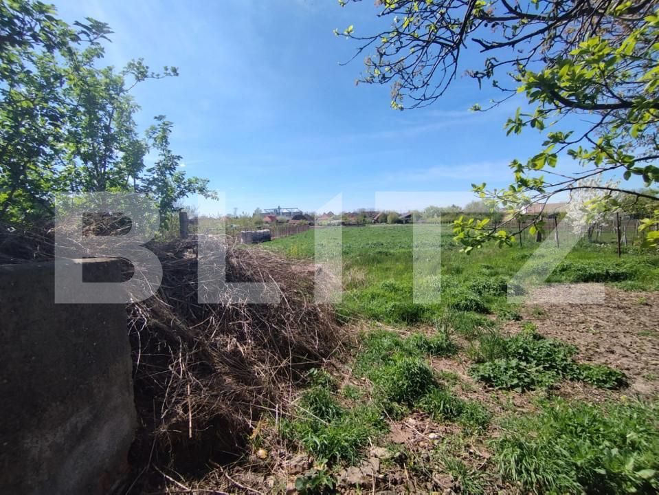 Casa de vânzare 3 camere Exterior Nord - 138591CV | BLITZ Timișoara | Poza12