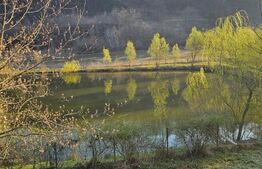 Casa individuala, 7 camere 3500 mp teren, zona exterior EST