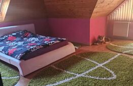 Casa individuala, 7 camere 3500 mp teren, zona exterior EST